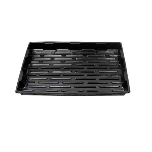 Lose Propagatorschale - 58 x 37 cm