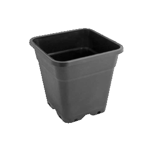 Dutch Masters Topf quadratisch (Doos van 1000) - 0,5L