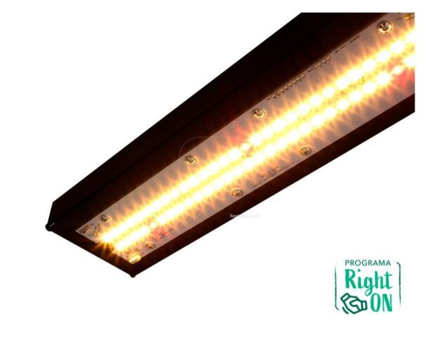 Kappa 150W LED system