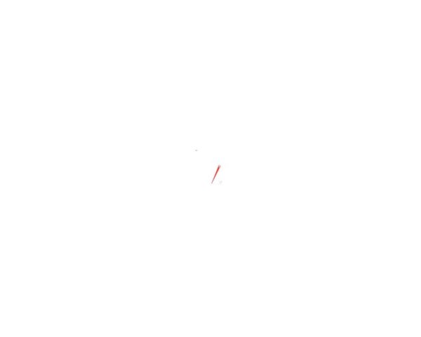 781091-pico-plstico Plastic beak