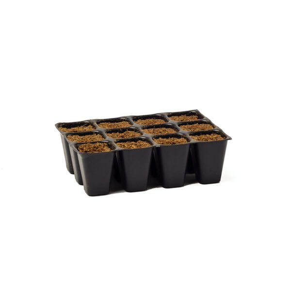 SEEDPLUGS