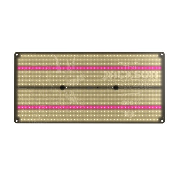 THE JACKSON NEMESIS 200W FULL SPECTRUM