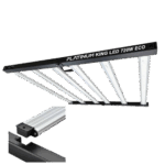 King Led  720w ECO mit intergriertem Treiber