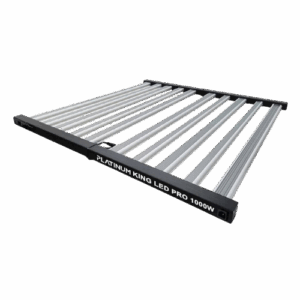 King Led Pro 1000w integriertem Treiber