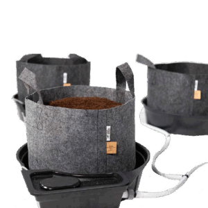 Megapot-System 22 L_2 Megapot System 22 L