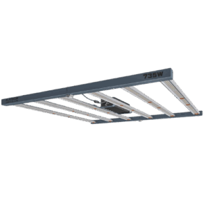 King Led 735 W mit magnetischem Vorschaltgerät elektronisch 250-400-600-735 mit Anschluss für PWM Master-Controller